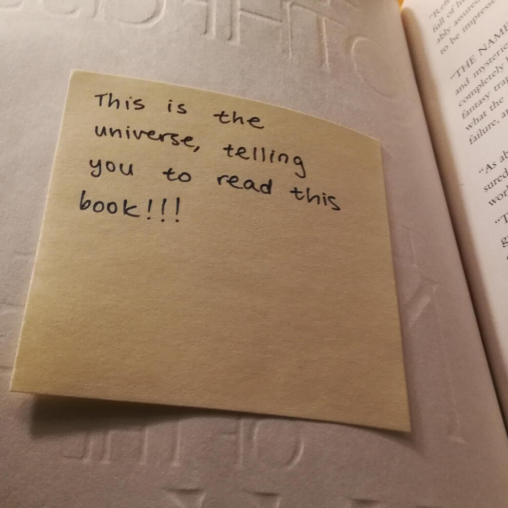 this is the universe, telling you to read this book!!